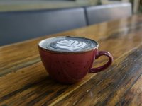 Doet paddenstoelenkoffie echt iets, of is het gewoon hype?